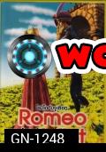 Romeo and Juliet  โรมิโอกับจูเลียต 