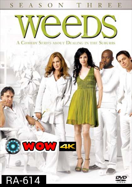 Weeds Season 3 : หม่ายชุลมุน ปี 3