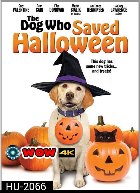 The Dog Who Saved Halloween บิ๊กโฮ่ง ซูเปอร์หมา ป่วนฮาโลวีน