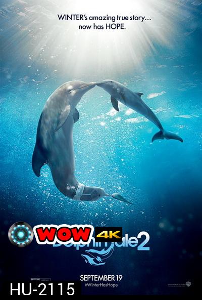 Dolphin Tale 2