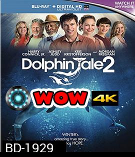 Dolphin Tale 2 มหัศจรรย์โลมาหัวใจนักสู้ 2 