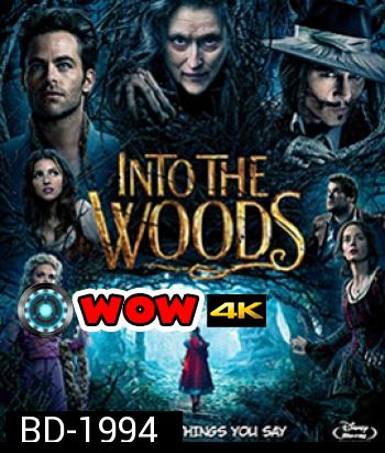 Into the Woods มหัศจรรย์คำสาปแห่งป่าพิศวง