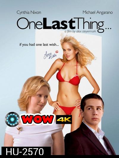 One Last Thing (2005) ขอแซ่บแสบครั้งสุดท้าย 