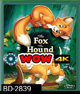 The Fox and the Hound (1981) เพื่อนแท้ในป่าใหญ่ 1