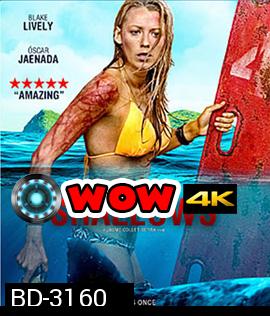 The Shallows (2016) นรกน้ำตื้น