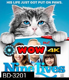 Nine Lives (2016) แมวเก้าชีวิตเพี้ยนสุดโลก