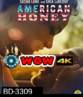 American Honey (2017) อเมริกัน ฮันนี่ (Master)