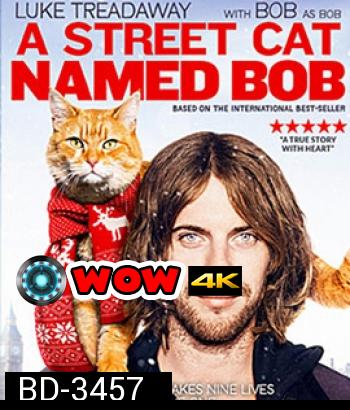 A Street Cat Named Bob (2016) บ๊อบ แมว เพื่อน คน