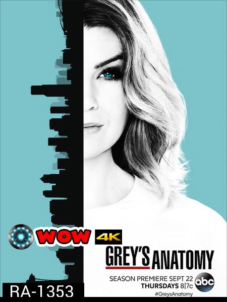 Grey's anatomy Season 13 แพทย์มือใหม่หัวใจเกินร้อย ปี 13 ( 24 ตอนจบ )