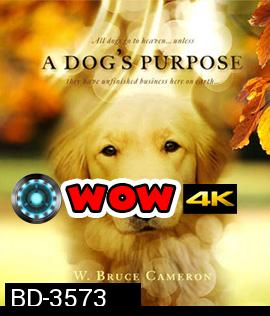 A Dog's Purpose (2017) หมา เป้าหมาย และเด็กชายของผม