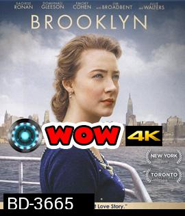 Brooklyn (2015) บรู้คลิน