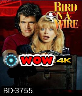 Bird on a Wire (1990) ดับอำมหิต