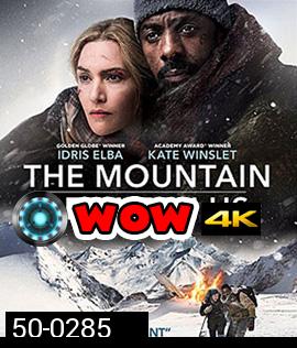 The Mountain Between Us (2017)