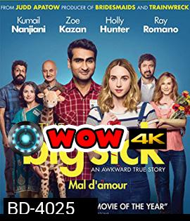 The Big Sick (2017) รักมันป่วย (ซวยแล้วเราเข้ากันไม่ได้)