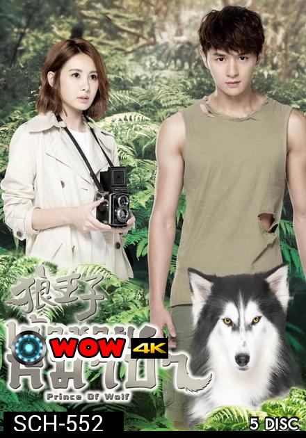 Prince Of Wolf  หยุดหัวใจ...เจ้าชายหมาป่า ( 30 ตอนจบ )