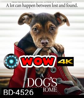 A Dog's Way Home (2019) เพื่อนรักผจญภัยสี่ร้อยไมล์