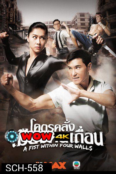 A Fist Within Four Walls โคตรคลั่งเมืองคนเถื่อน  ( 28 ตอนจบ )