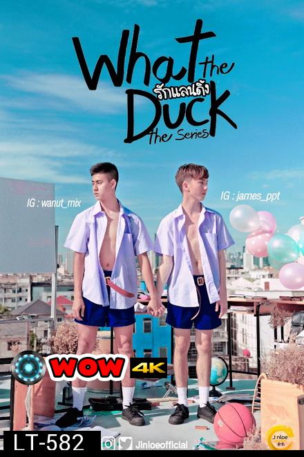 What The Duck รักแลนดิ้ง Final Call ( EP.1-8 จบ )