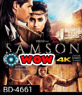 Samson (2018) โคตรคนจอมพลัง