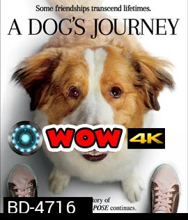 A Dog's Journey (2019) หมา เป้าหมาย และเด็กชายของผม 2