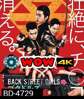 Back Street Girls (2019) ไอดอลสุดซ่าป๊ะป๋าสั่งลุย