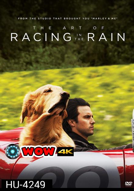 The Art of Racing in the Rain (2019) อุ่นไอหัวใจตูบ