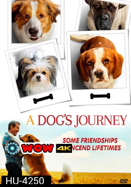 A Dog's Journey หมา เป้าหมาย และเด็กชายของผม 2