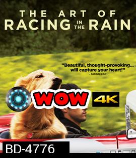 The Art of Racing in the Rain (2019) อุ่นไอหัวใจตูบ