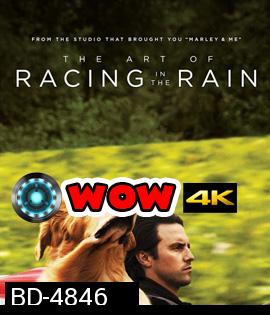 The Art of Racing in the Rain (2019) อุ่นไอหัวใจตูบ