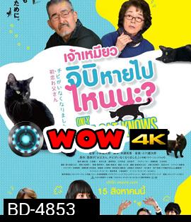 Only The Cat Knows (2019) เจ้าเหมียวจิบิ หายไปไหนนะ