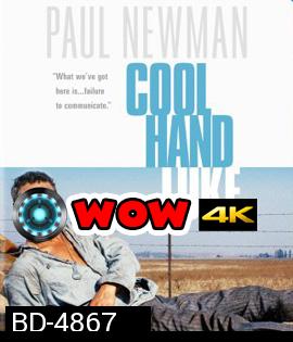 Cool Hand Luke (1967) คนสู้คน