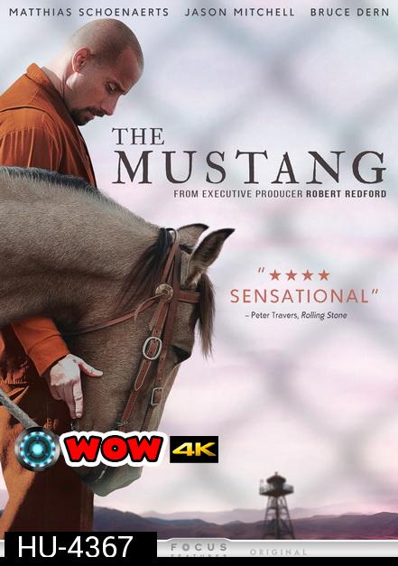 The Mustang (2019)