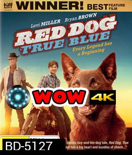 Red Dog: True Blue (2016)