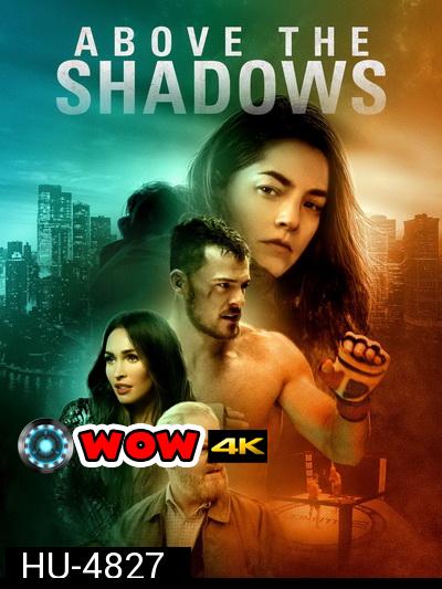 Above the Shadows จะรักไหม หากฉันไร้ตัวตน (2019)