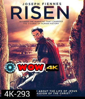 4K - Risen (2016) กำเนิดใหม่แห่งศรัทธา - แผ่นหนัง 4K UHD