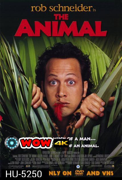 The Animal คนพิลึก ยึดร่างเพี้ยน ( 2001 )