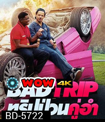 Bad Trip (2021) ทริปป่วนคู่อำ (คุณภาพของ ภาพ เท่า DVD)