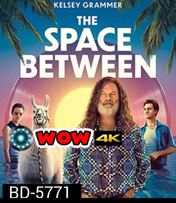 The Space Between (2021)