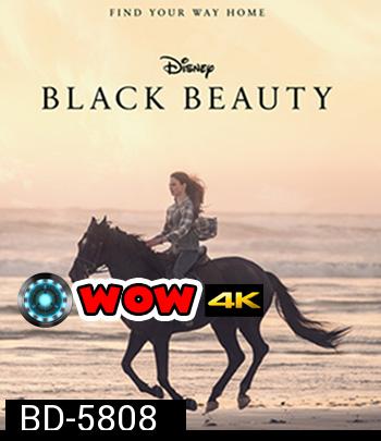 Black Beauty (2020)