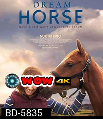 Dream Horse (2020) อาชาล่าฝัน