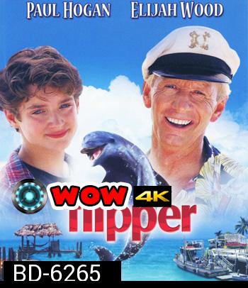 Flipper (1996)