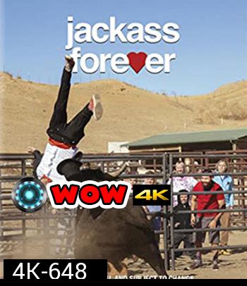 4K - Jackass Forever (2022) แจ็คแอส ฟอร์เอฟเวอร์ - แผ่นหนัง 4K UHD