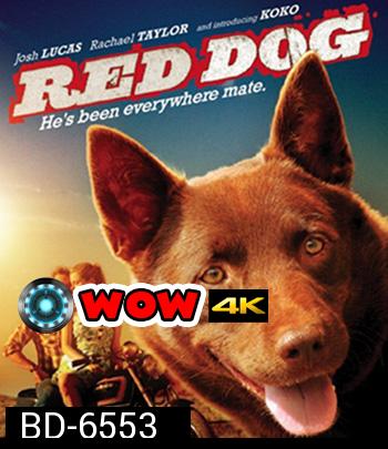 Red Dog (2011) เพื่อนซี้ หัวใจหยุดโลก