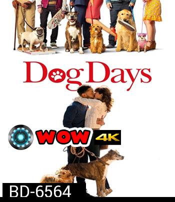 DOG DAYS (2018) วันดีดี รักนี้ มะ(หมา) จัดให้