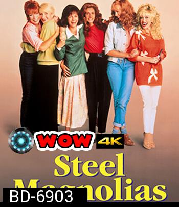 Steel Magnolias (1989) สานดวงใจดอกไม้เหล็ก