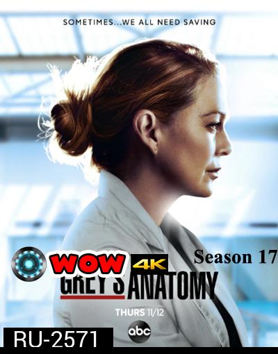 Grey's anatomy Season 17 แพทย์มือใหม่หัวใจเกินร้อย ปี 17 (17 ตอนจบ)