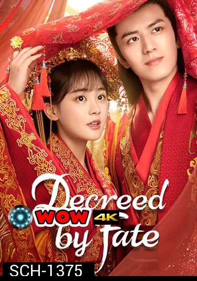 Decreed by Fate (2022) ท่านหญิง อย่าชิงหย่ากับข้า (16 ตอนจบ)