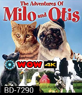 The Adventures of Milo and Otis (1986) แมวจ๋าหมาอยู่นี่