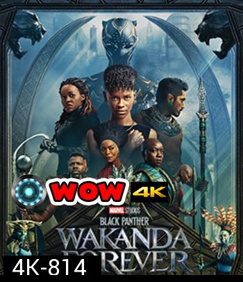 4K -Black Panther Wakanda Forever (2022) แบล็ค แพนเธอร์ วาคานด้าจงเจริญ - แผ่นหนัง 4K UHD
