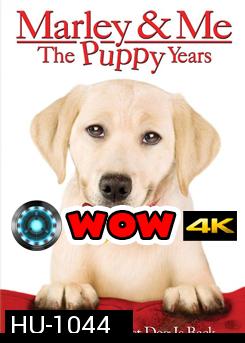 Marley & Me: The Puppy Years จอมป่วนหน้าซื่อ 2 ปีทองน้องหมาตัวกวน